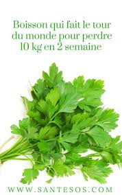 Boisson Qui Fait Le Tour Du Monde Pour Perdre 10 Kg En 2 Semaine Detox Smoothie Detox Detox Soup