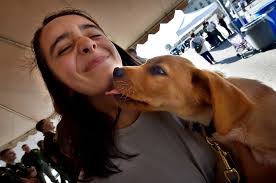 OCSD push-up challenge raises awareness of veteran suicides and raises  funds for service dogs