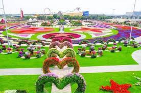 This miracle garden dubai guide will help you know everything there is about it to plan the perfect visit. Halbtagige Tour Dubai Butterfly Garden Und Miracle Garden 2021 Tiefpreisgarantie