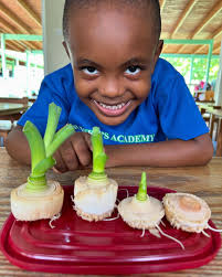 Our first week back was...