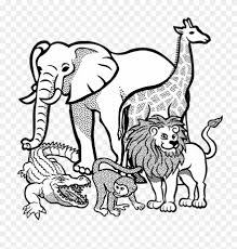 Hand drawn ink drawing with safari african wildlife. Large Size Of Cartoon Elephant Drawing Vector Outline Animals Clipart Black And White Png Download 4161851 Pinclipart