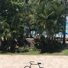 ハワイ オアフ島の街 エリア紹介13選 おすすめ観光名所 穴場スポット sugoi travel hawaii hawaii plants