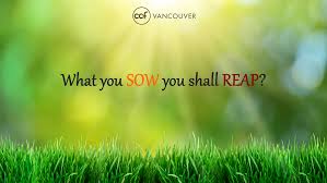 You reap what you sow. What You Sow You Shall Reap Ccf Vancouver