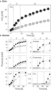 Any page detected in the database is blocked. Frontiers Ecological Functions Of Agricultural Soil Bacteria And Microeukaryotes In Chitin Degradation A Case Study Microbiology