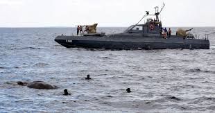Image result for Elephant Rescued After Being Dragged Out To Sea By Strong Current
