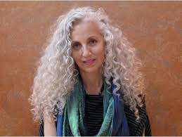 Pin By Mary Deturris Poust On Naturally Curly Hair Long Gray Hair Silver White Hair Curly Hair Styles