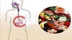 Voedselvergiftiging - Symptomen en oorzaak - YouTube
