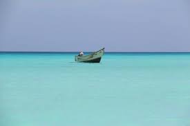 المهرة بوست صور جزيرة سقطرى مناظر طبيعية Socotra Island Socotra The Lost World Photo