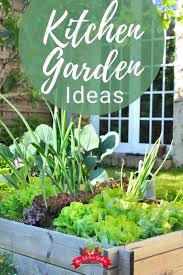 Kitchen Garden Ideas Kitchen Garden Vegetable Garden Gardening For Beginners