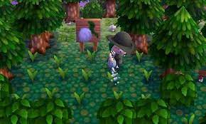 Turnip Garden Cute Idea Green Forest Acnl Pwp Sign Animal Crossing Animal Crossing 3ds Animal Crossing Qr