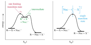 sn1 energy diagram catalogue of schemas