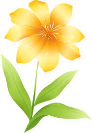 Yellow Flower Clipart Flower Clipart Yellow Flowers Flower Art