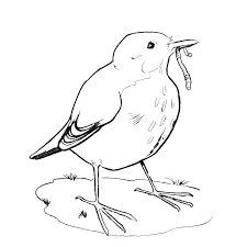 coloriage oiseau pinson a imprimer gratuit animaux chat courtepointe avec valeur de couleur et contraste