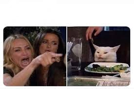 Lady And Cat Meme Template Hd On the left, a blond woman screams and points, fully in tears.