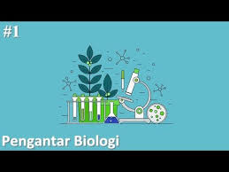 Berikut ini kumpulan soal biologi kelas 10 latihan ujian semester 1 soal a 1. Download Metode Ilmiah Biologi Kelas 10 Mp3 Mp4 Full Aqua Mp3