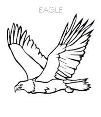 The bald eagle, haliaeetus leucocephalus, is a magnificent bird of prey that is native to north america. Eagle Coloring Pages Playing Learning