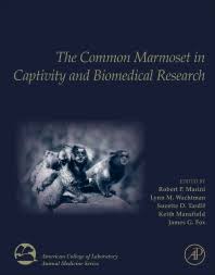 In this post, i collect bestsellers and top reviews of children's stories books for you. The Common Marmoset In Captivity And Biomedical Research 1st Edition