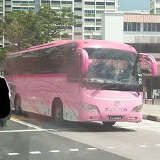 Dirt cheap prices on lumber, osb, plywood, roofing, siding, fencing and more! Gramho