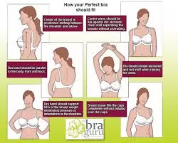 Therefore, if your body size is 12 and your cup size is cup dd, your bra size is 12 dd! What Is The Cup Size Of A Medium Bra Quora
