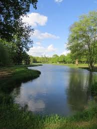 Good Morning Sologne A Yvoy Le Marron Sologne Paysagiste Marrons