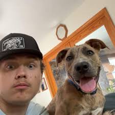 Who is a good moped mechanic in Traverse City?