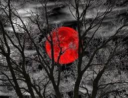 Beautiful Scenery Images Black And White Black And White Tree Art Paintings Seen On Http Www Ebay Com Itm Black And White Beautiful Life Tree Color Splash Splash Photography Color Splash Photography