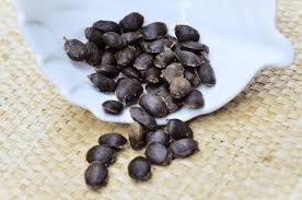 Image result for Annona muricata