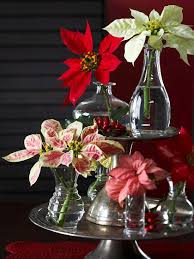 Deck Your Dining Table With These Easy To Make Christmas Centerpieces Christmas Flower Arrangements Christmas Centerpieces Christmas Flower Decorations