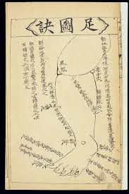 File Qing Chinese Paediatric Foot Leg Massage Chart Wellcome