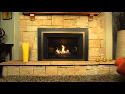 Image result for Regency HRT-2