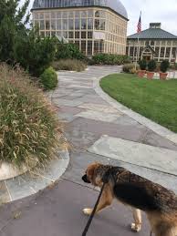 Marilyn Julius (baltimorecclc)