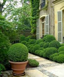 10 Winter Friendly Plants For Your Outdoor Areas Boxwood Landscaping Boxwood Garden Outdoor Gardens