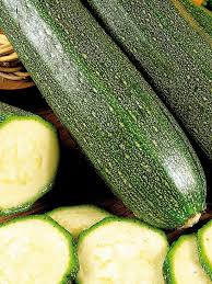 Cucurbits Zucchini And Summer Squashwith Dozens Of Cucurbit Vegetable Varieties To Choose From The Right Sel Zucchini Plants Growing Squash Starting A Garden