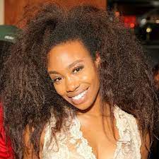R B Singer Sza Reveals Her Natural Hair Natural Hair Styles Sza Hair Sza Singer