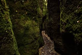 Maybe you would like to learn more about one of these? Drachenschlucht Und Landgrafenschlucht Wanderung Bei Eisenach