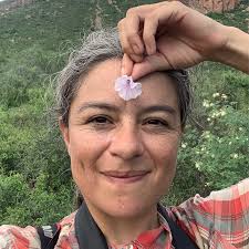 Beyond the Competition