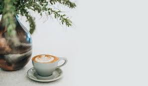We can find the pods tassimo are biodegradable pods really ecological? Capsules De Cafe Bio Compatibles Nespresso Biodegradables