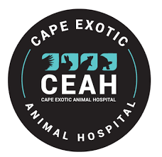 By placing value on customer service, client education, and honest communication, our team desires to help each pet owner achieve the most out of the human animal. Cape Exotic Animal Hospital Birds Rabbits Exotic Vet