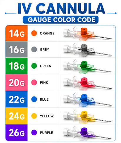 IV cannula sizes and color codes for nursing students