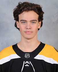 Spielerportrait von Axel Andersson