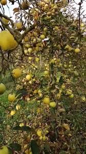 Le travail ou plus prosaïquement le «boulot» fait intimement partie de nos vies. Petit Boulot D Ete Tranquille La Cueillette De Bourgtheroulde