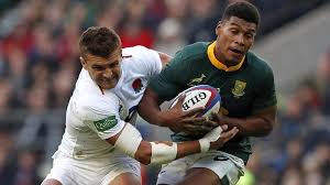 15 jacopo trulla, 14 junior laloifi, 13 erich cronjé, 12 timothy o'malley, 11 asaeli tuivuaka, 10 carlo canna, 9 nicolò . Stormers Have Some Boks Back For Zebre Ofm