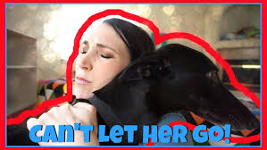 Mike Bushnell and greyhound adoption