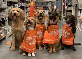 Seven times stronger than regular insect screening, phifer petscreen is the preferred choice of pet owners. Home Depot Dogs Home Facebook