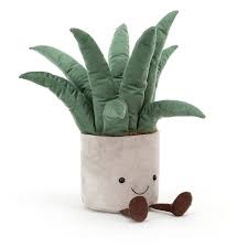 Image result for Aloe luapulana