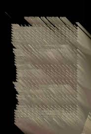 Image result for Cyperus trigonellus