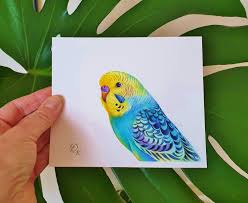 Rainbow Budgie Original Painting Parakeet Watercolour Colorful Budgerigar Miniature Bird Art 5x6 Inches Bird Art Budgies Parrot Painting