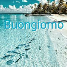 72% load factor as covid vaccines see eu recovery begin. Immagini Buongiorno 1 Agosto Le Piu Belle Da Inviare Su Whatsapp E Facebook Alphabetcity