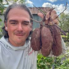 Can I trim off 50% of the worst leaves/vines above the watermelons without  harming them?