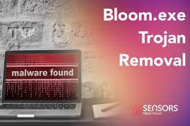 Bloom.exe Virus / Malware - Removal [Trojan]